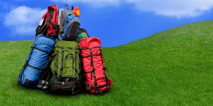 Read more about the article ЭКО АЯЛАЛ 2015